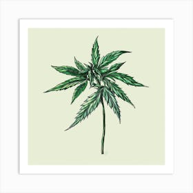 Illustration Of A Marijuana Leaf Art Print