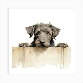 Schnauzer 10 Art Print