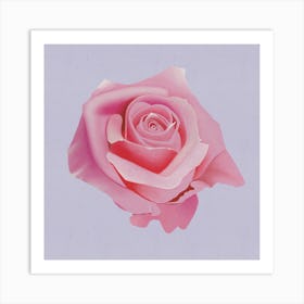 Timeless Bloom - Modern Minimalist Pink Rose On Lavender Art Print