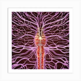 Brain And Spinal Cord 11 Art Print