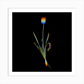 Prism Shift Mouse Garlic Botanical Illustration on Black Art Print