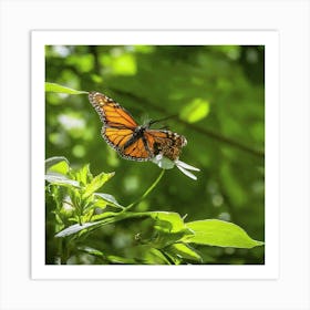 Monarch Butterfly - Monarch Butterfly Stock Videos & Royalty-Free Footage Art Print