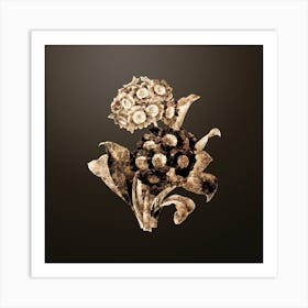 Gold Botanical Mountain Cowslip on Chocolate Brown n.4005 Art Print