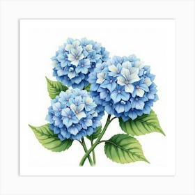 A Watercolor Scene Of Hydrangeas In Full Bloom 1 Art Print