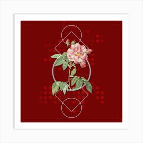 Vintage French Rosebush with Variegated Flowers Botanical with Geometric Line Motif and Dot Pattern n.0361 Art Print