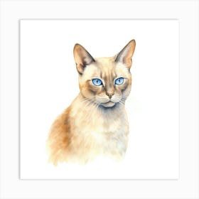 Burmese Platinum Cat Portrait 3 Art Print