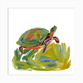 Painted Turtle 01 Art Print