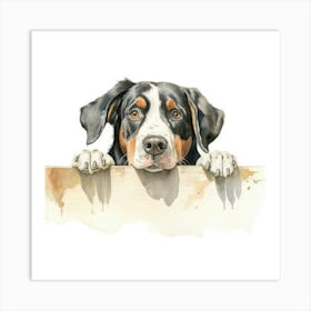 Bernese Dog 2 Art Print