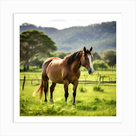 Grass Graze Equestrian Pasture Horse Rural Farm Mare Nature Field Mammal Ranch Pet Graz Art Print