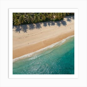 Aerial View Of A Beach Art Print