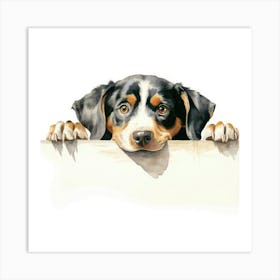 Bernese Mountain Dog 7 Art Print