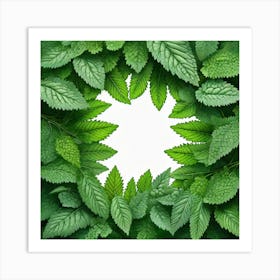 Mint Leaves Background Art Print