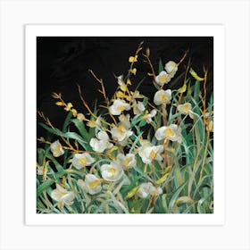 White Orchids Art Print