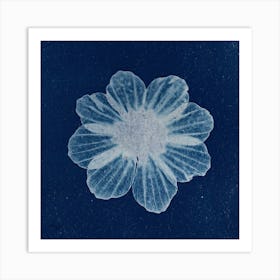 Flower On A Blue Background Art Print