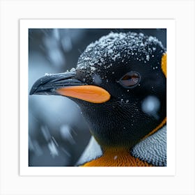 King Penguin 23 Art Print