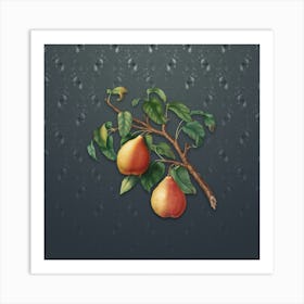 Vintage Wild European Pear Botanical on Slate Gray Pattern n.0607 Art Print