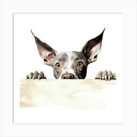 Doberman Pinscher Art Print