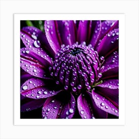 Purple Dahlia Flower Art Print