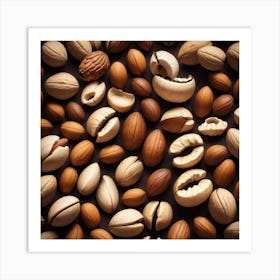 Nut Shells 1 Art Print