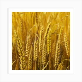 Wheat Field Photo 1 Art Print