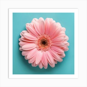 Pink Gerbera Flower Art Print