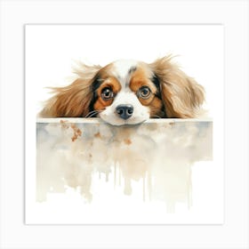 King Charles Spaniel 1 Art Print