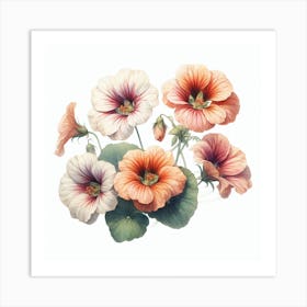 Flowers of Nasturtium Art Print