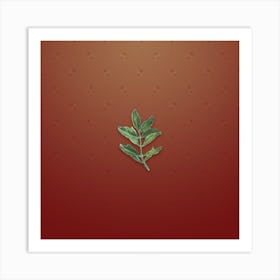 Vintage Buxus Colchica Twig Botanical on Falu Red Pattern n.0052 Art Print