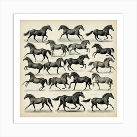 The Horse In Motion Animal Locomotion Art Print 1 Art Print