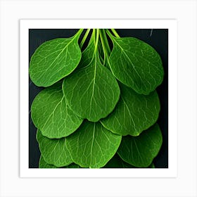 Kale Leaves On A Black Background Art Print