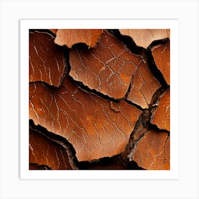 Cracked Earth Texture Art Print