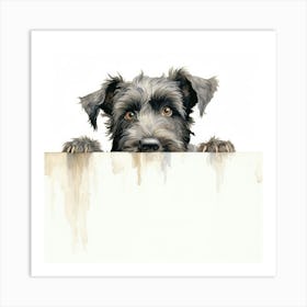 Schnauzer 7 Art Print