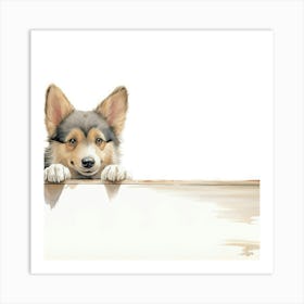 Swedish Vallhund Dog 1 Art Print