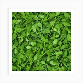 Green Grass Background 34 Art Print