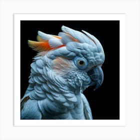 Cockatoo Portrait Art Print