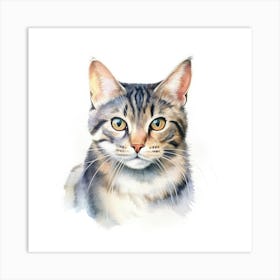 American Polydactyl Cat Portrait 1 Art Print