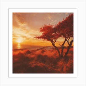 Sunset With A Tree Art Print