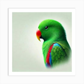 Parrot 11 Art Print