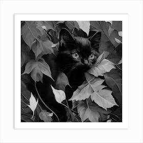 Black and White Black Cat In Leaves 4 Art Print