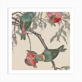 Two Parrots On A Pomegranate Tree Art Print