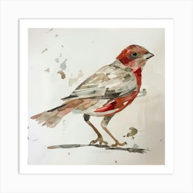 Red Finch Art Print