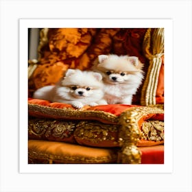 Pomeranian Puppies Art Print