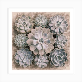 Succulent Botany Cacti Plant Art Print