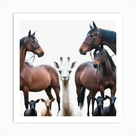 Equine Portrait 1 Art Print