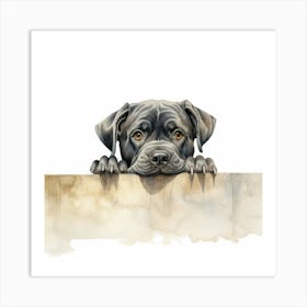 Black Dog Peeking Over The Wall Art Print