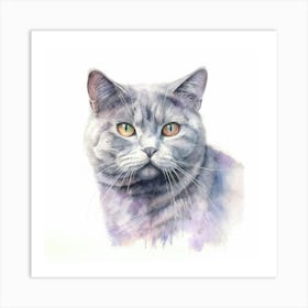 Australian Mist Shorthair Cat Portrait 1 Art Print