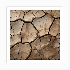 Dry Cracked Earth 5 Art Print