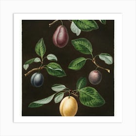 Plums On A Branch Art Print