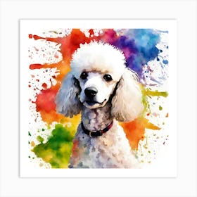 Poodle, National Pet Day! Art Print