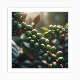 Green Coffee Beans 1 Art Print